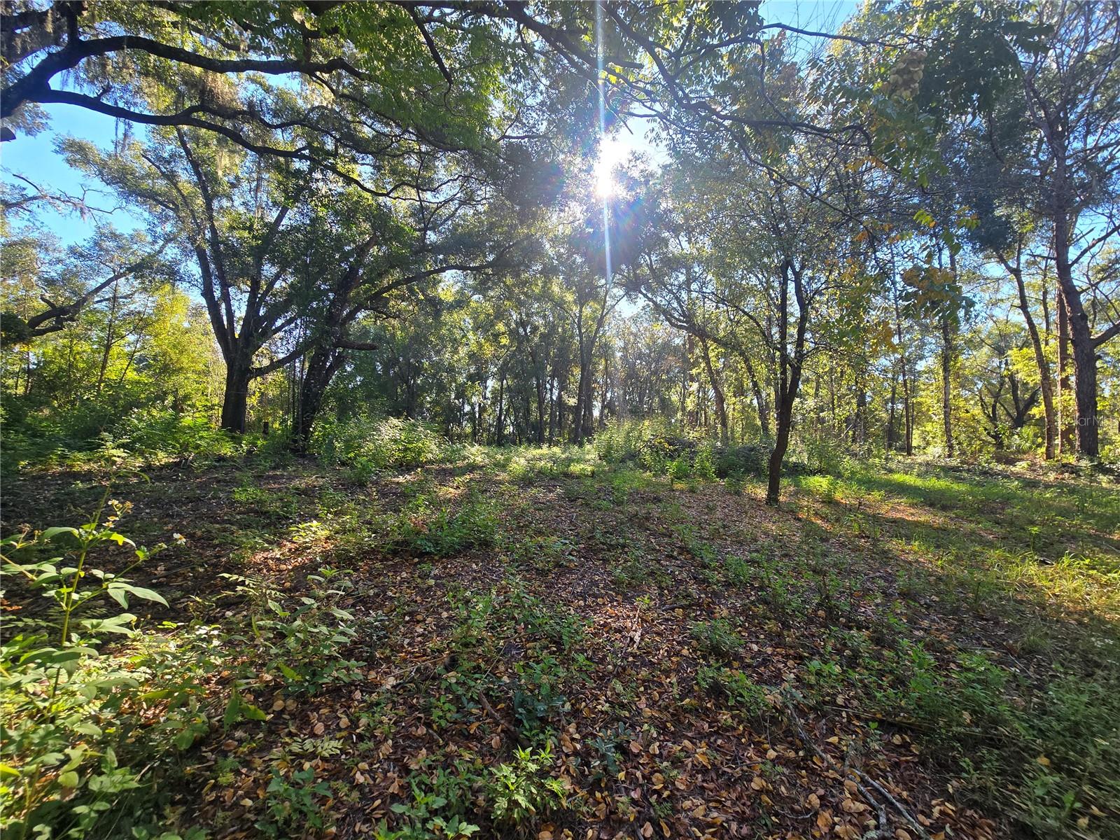 Image 10 of 17 For 4322 Carl G Rose Highway