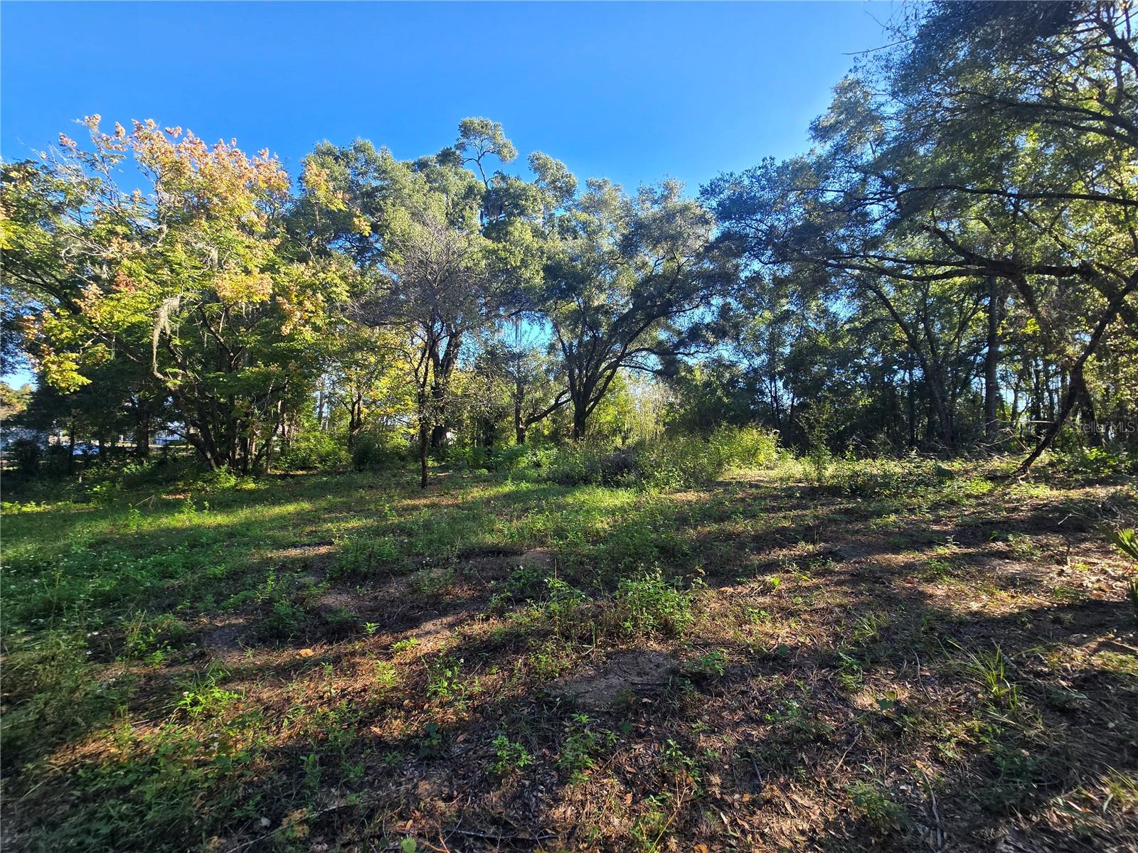 Image 11 of 17 For 4322 Carl G Rose Highway