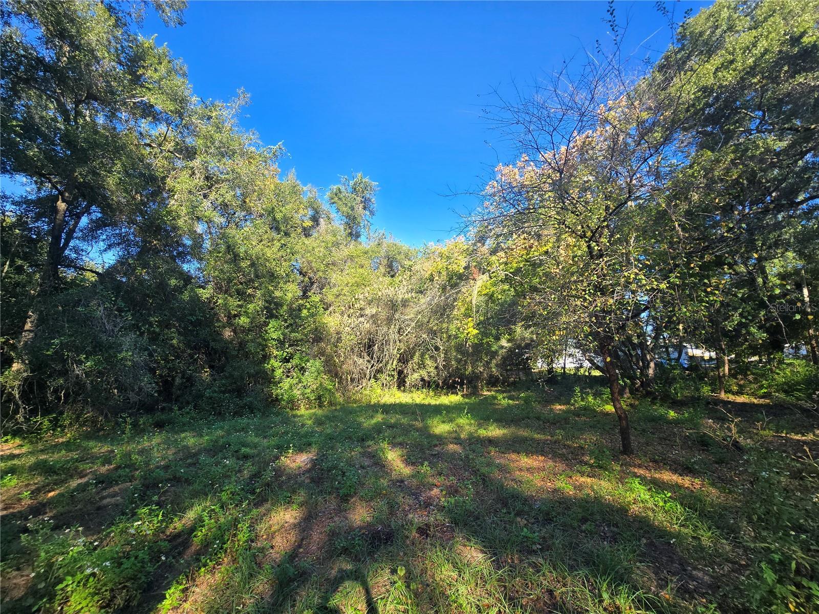 Image 12 of 17 For 4322 Carl G Rose Highway