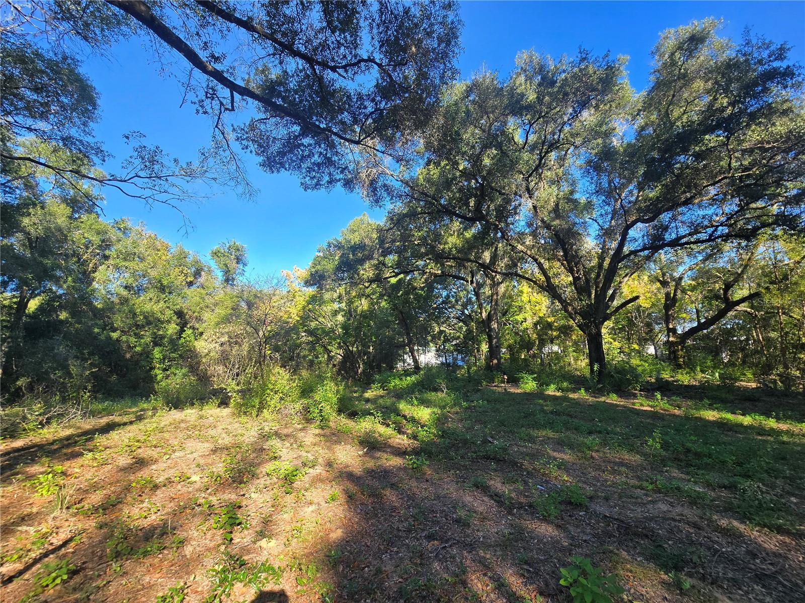 Image 13 of 17 For 4322 Carl G Rose Highway