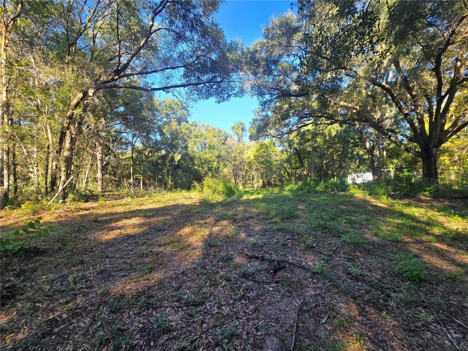 Image 14 of 17 For 4322 Carl G Rose Highway