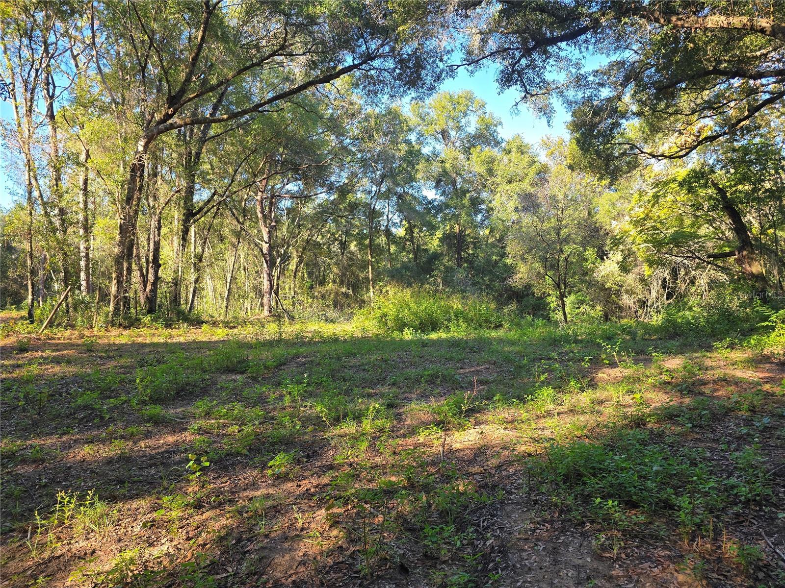 Image 15 of 17 For 4322 Carl G Rose Highway