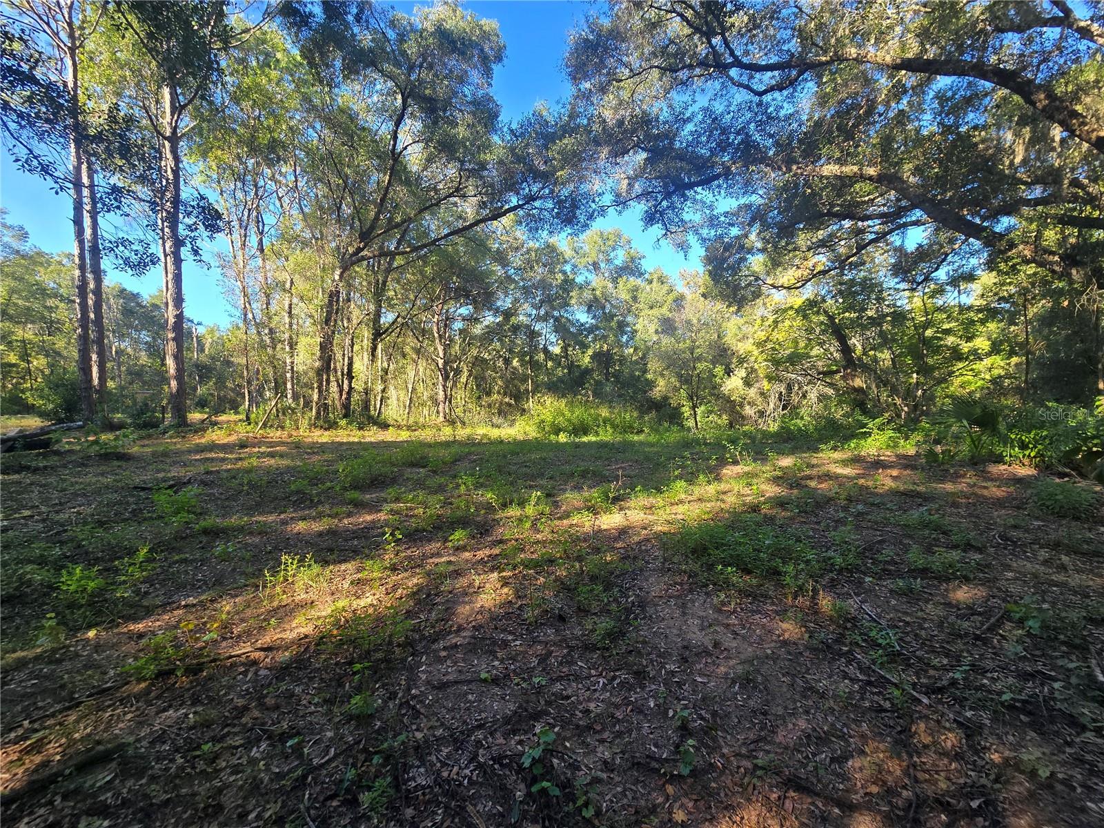 Image 16 of 17 For 4322 Carl G Rose Highway