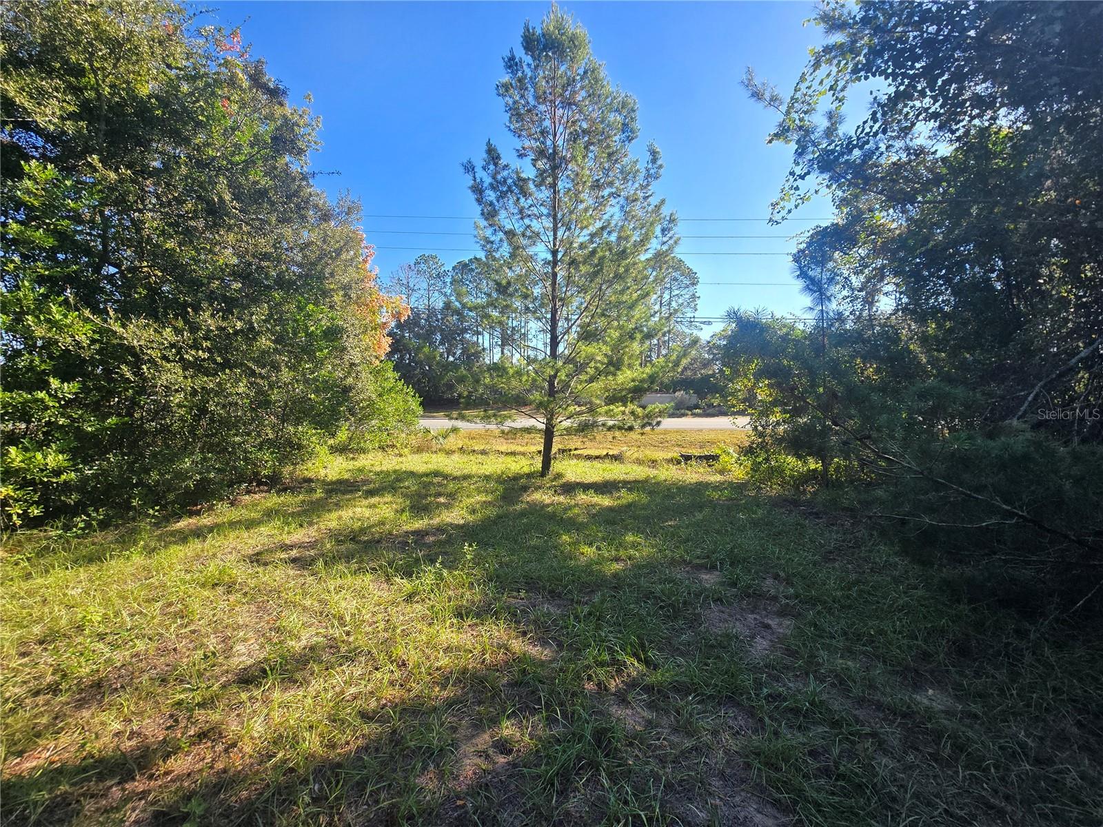 Image 17 of 17 For 4322 Carl G Rose Highway