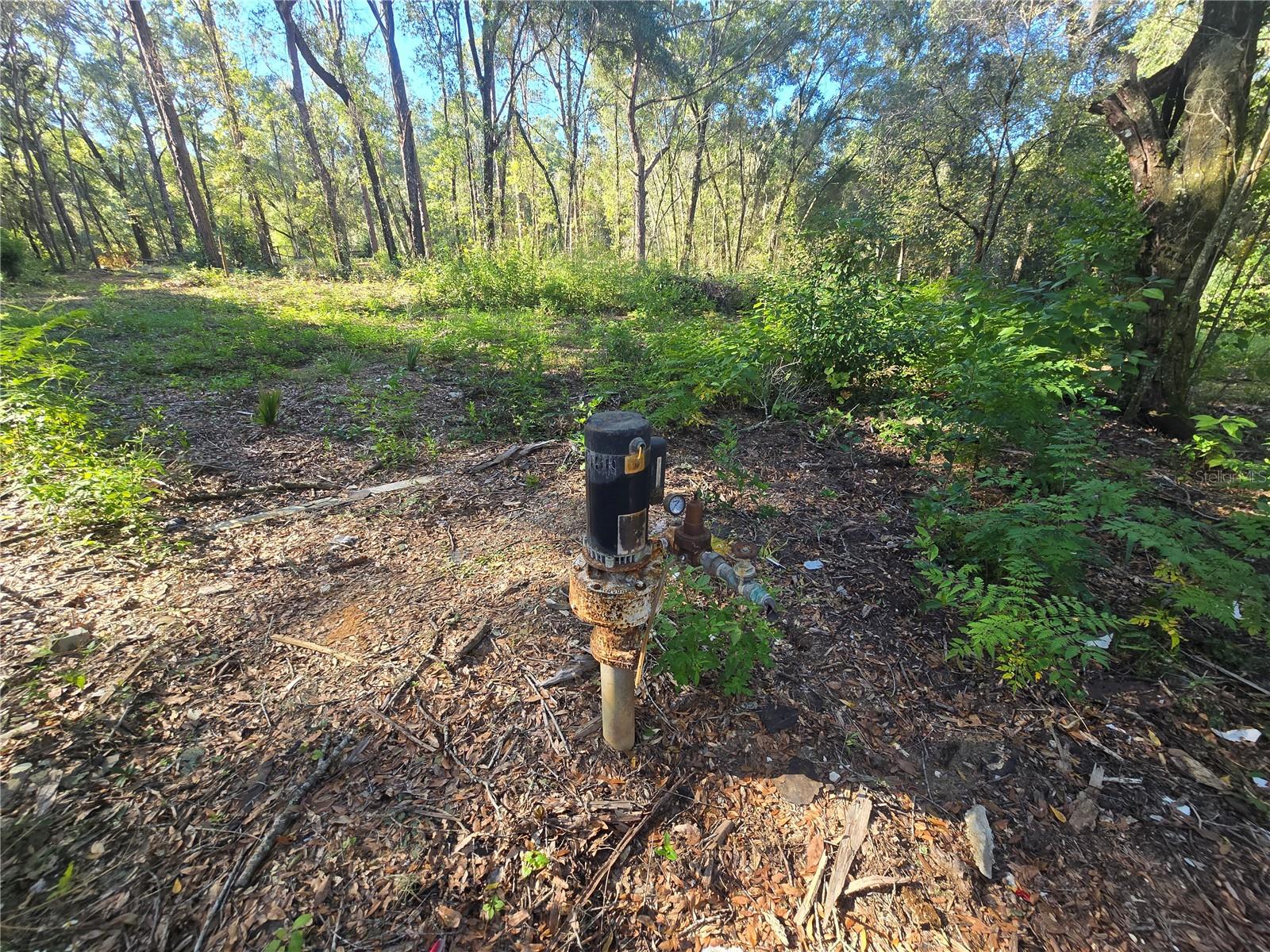 Image 5 of 17 For 4322 Carl G Rose Highway