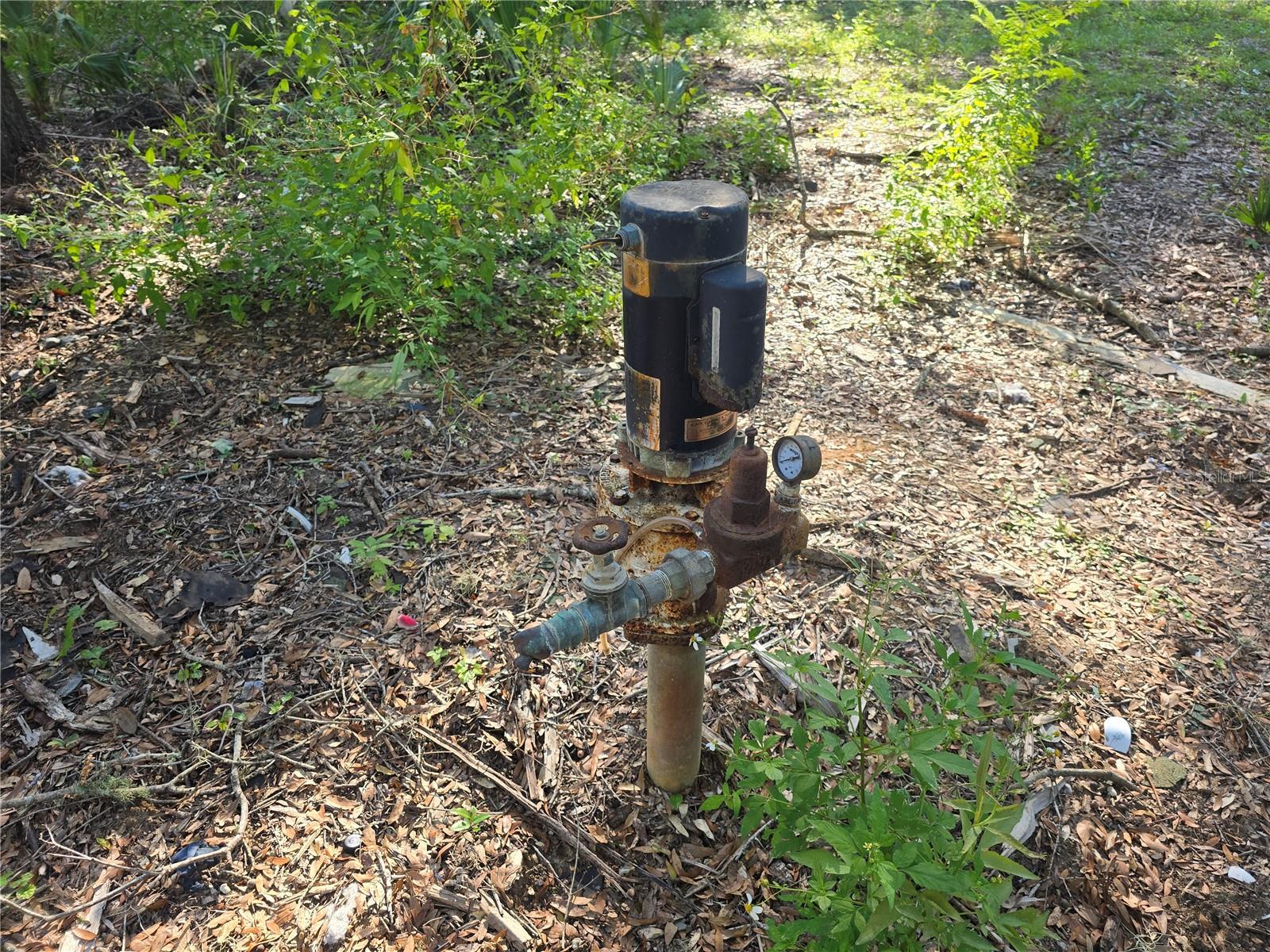 Image 6 of 17 For 4322 Carl G Rose Highway