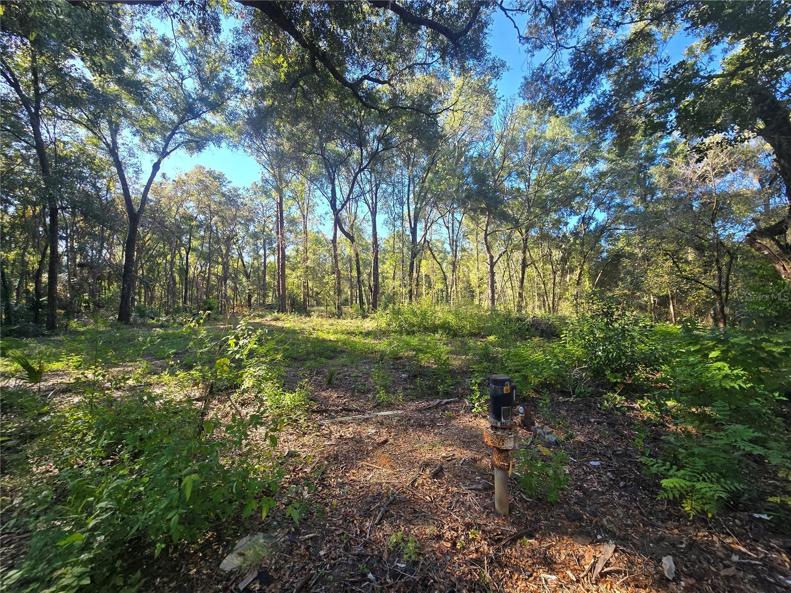 Image 7 of 17 For 4322 Carl G Rose Highway