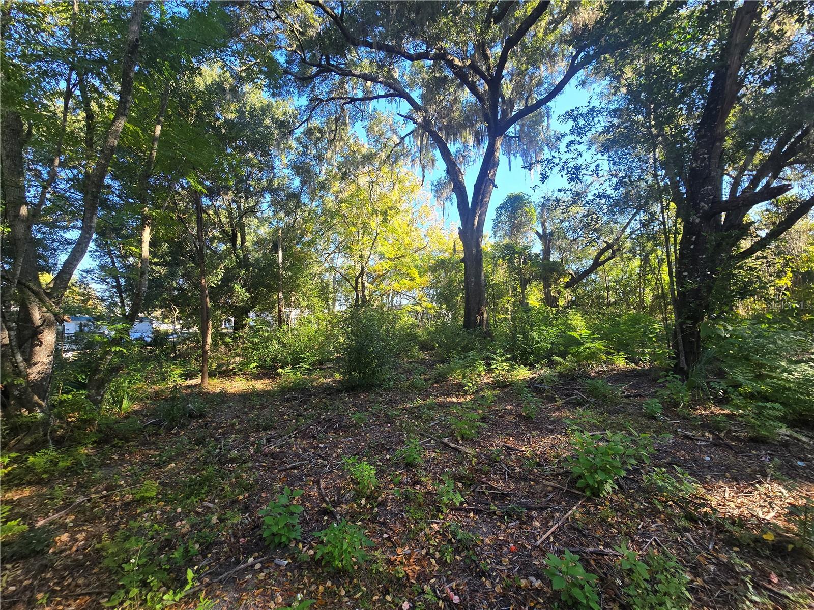 Image 9 of 17 For 4322 Carl G Rose Highway