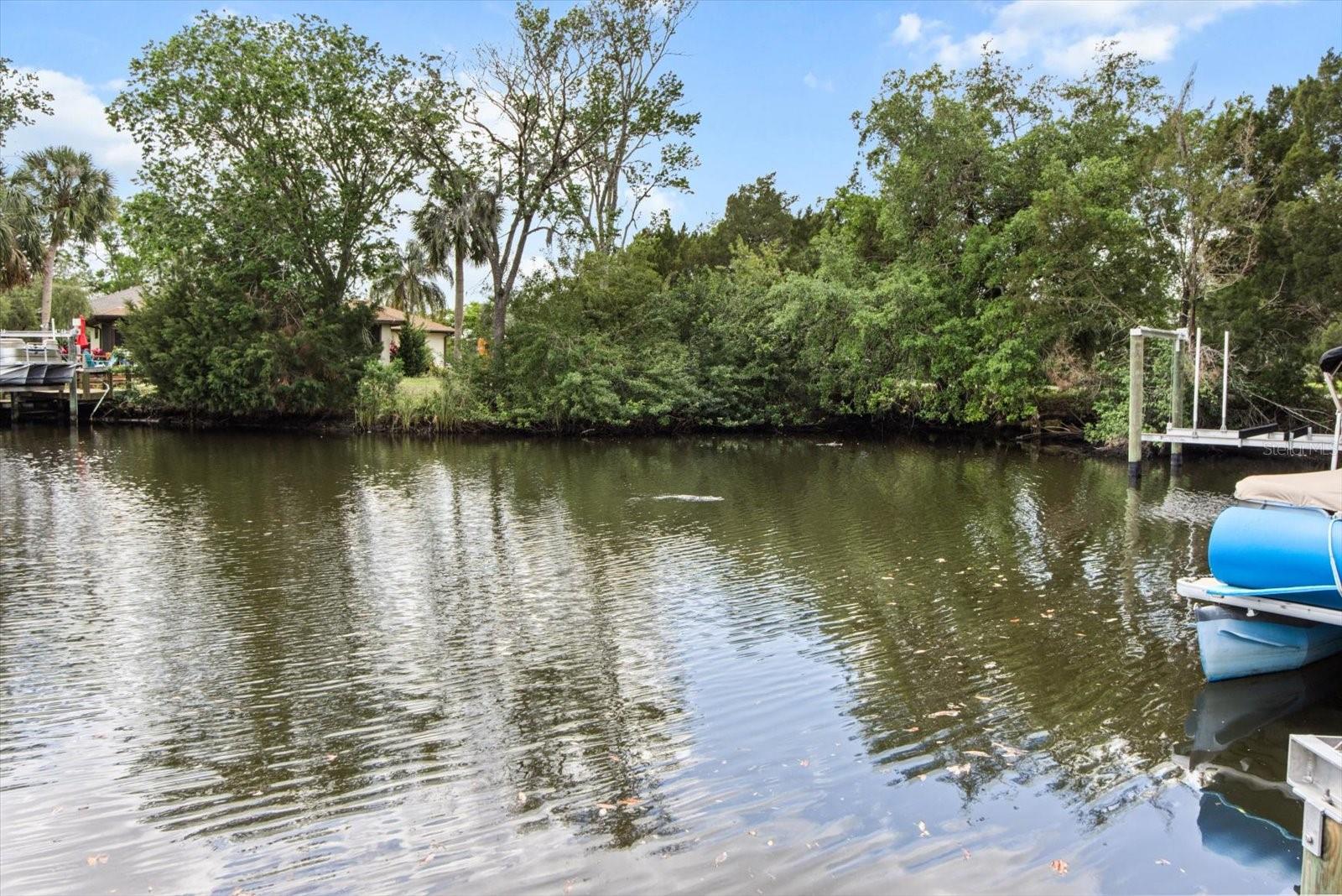 Image 45 of 58 For 11546 Clubview Drive