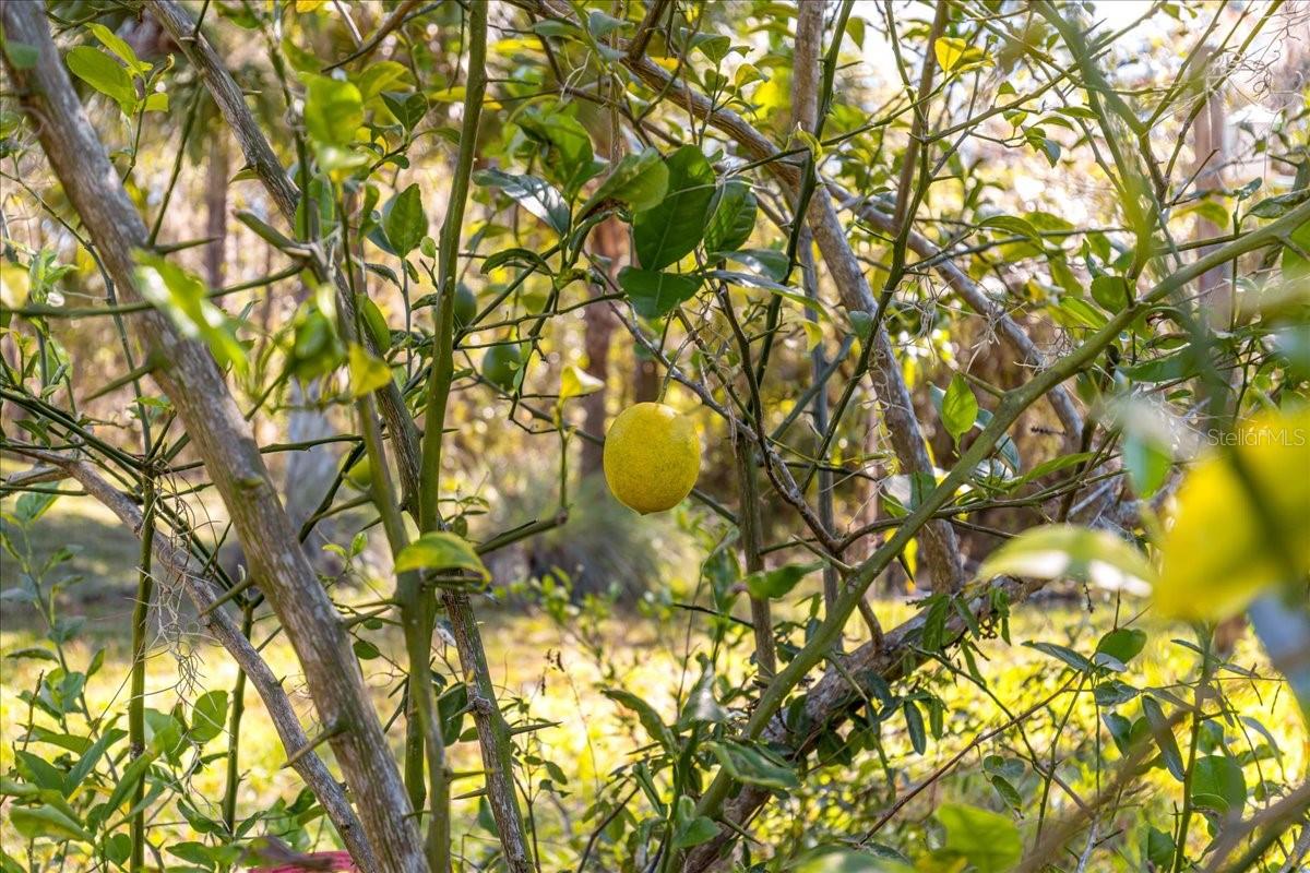 Image 44 of 56 For 8297 196th Court Road