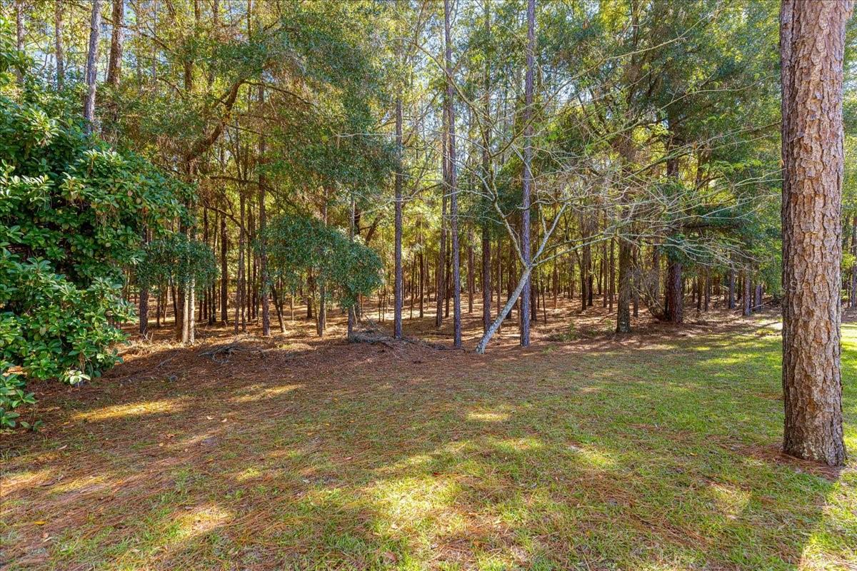 Image 49 of 60 For 7535 185th Avenue Road