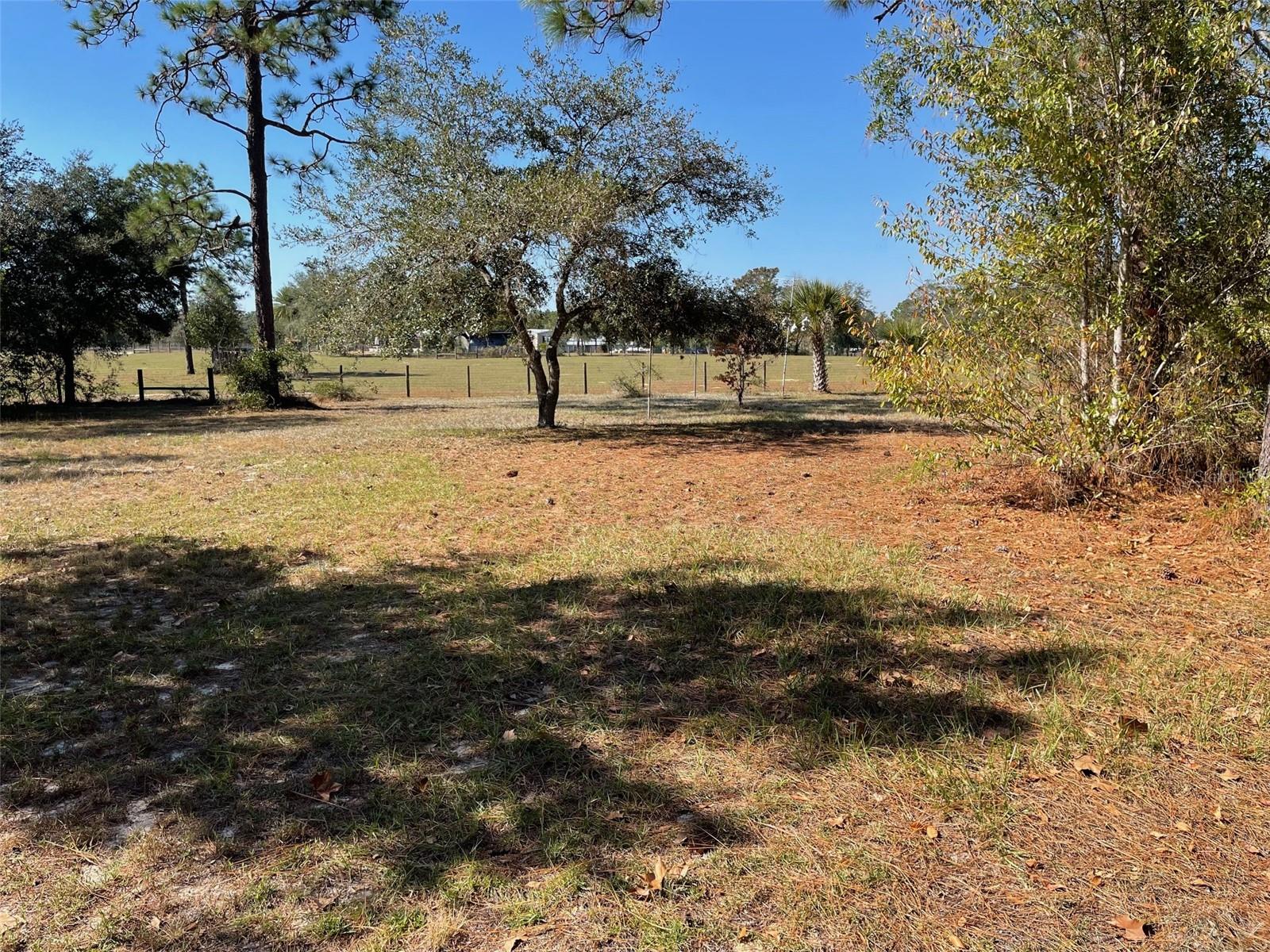 Image 35 of 77 For 280 Ridgewood Road