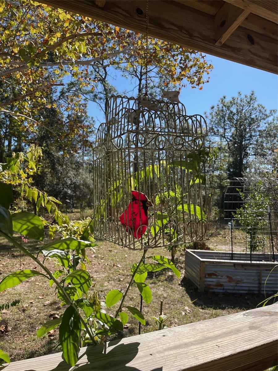 Image 42 of 77 For 280 Ridgewood Road