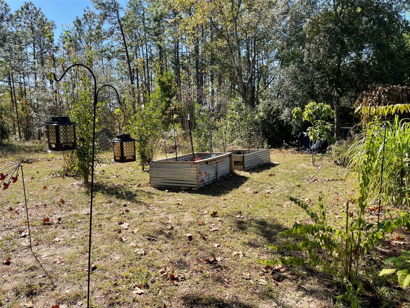 Image 43 of 77 For 280 Ridgewood Road