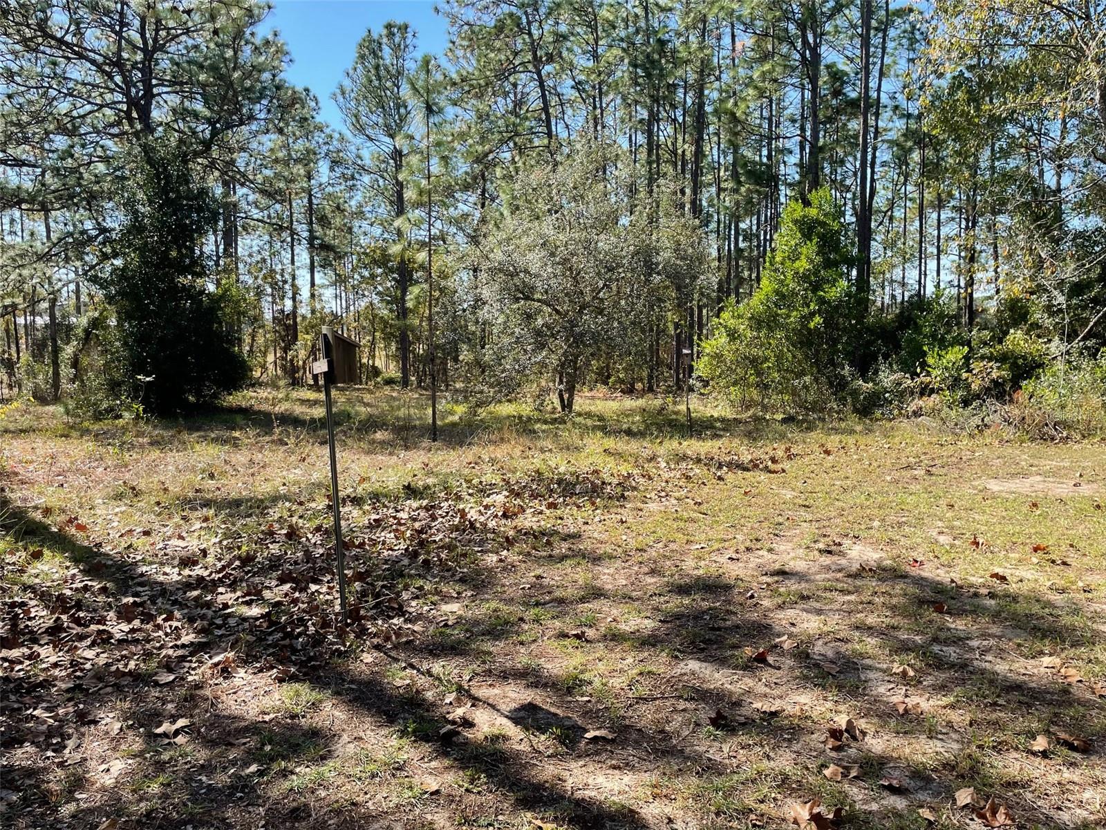 Image 44 of 77 For 280 Ridgewood Road