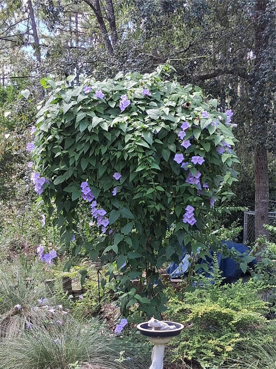 Image 47 of 77 For 280 Ridgewood Road