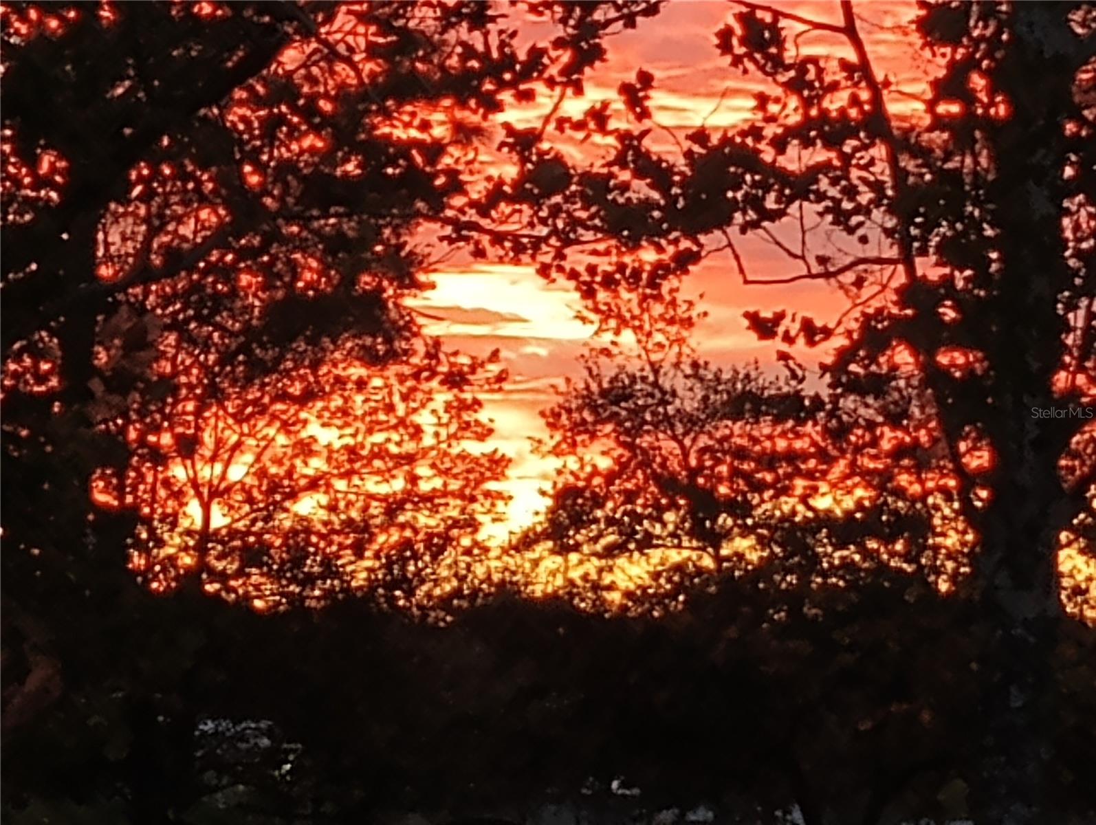 Image 48 of 77 For 280 Ridgewood Road