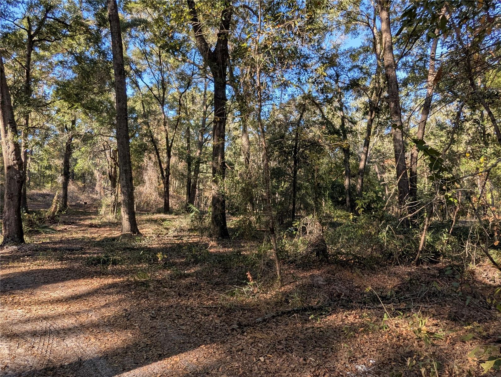 Image 46 of 58 For 4739 60th Avenue