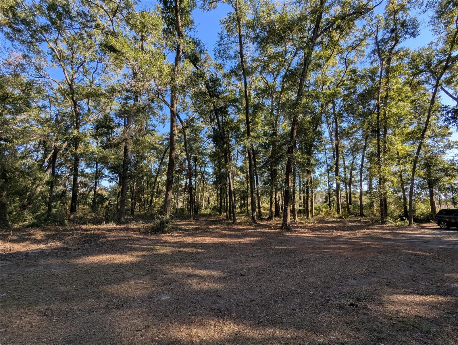 Image 47 of 58 For 4739 60th Avenue