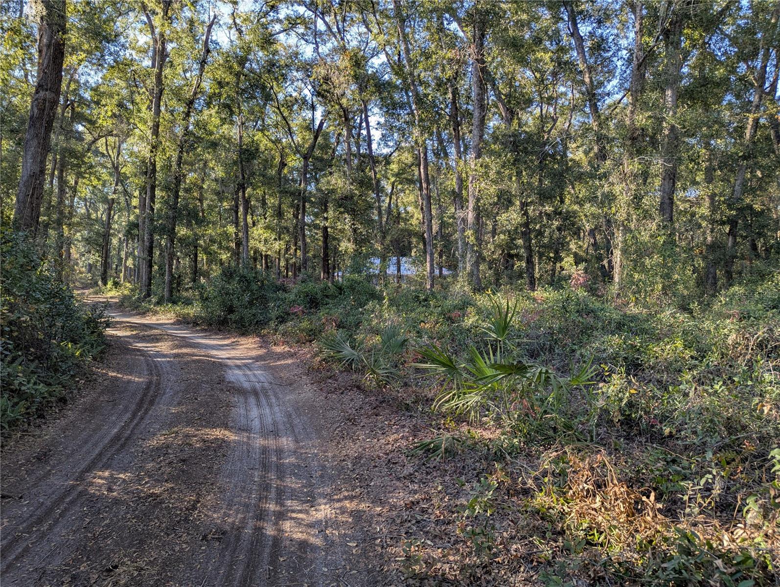 Image 49 of 58 For 4739 60th Avenue