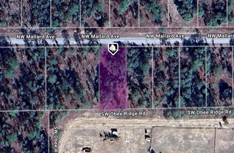 Details for Lot 27 Mallard Avenue, DUNNELLON, FL 34431
