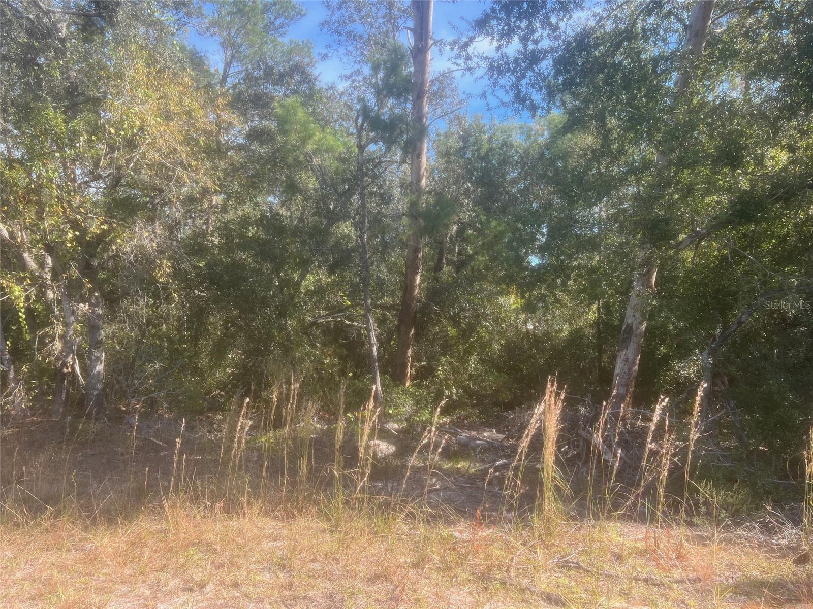 Details for Bay Road , OCKLAWAHA, FL 32179