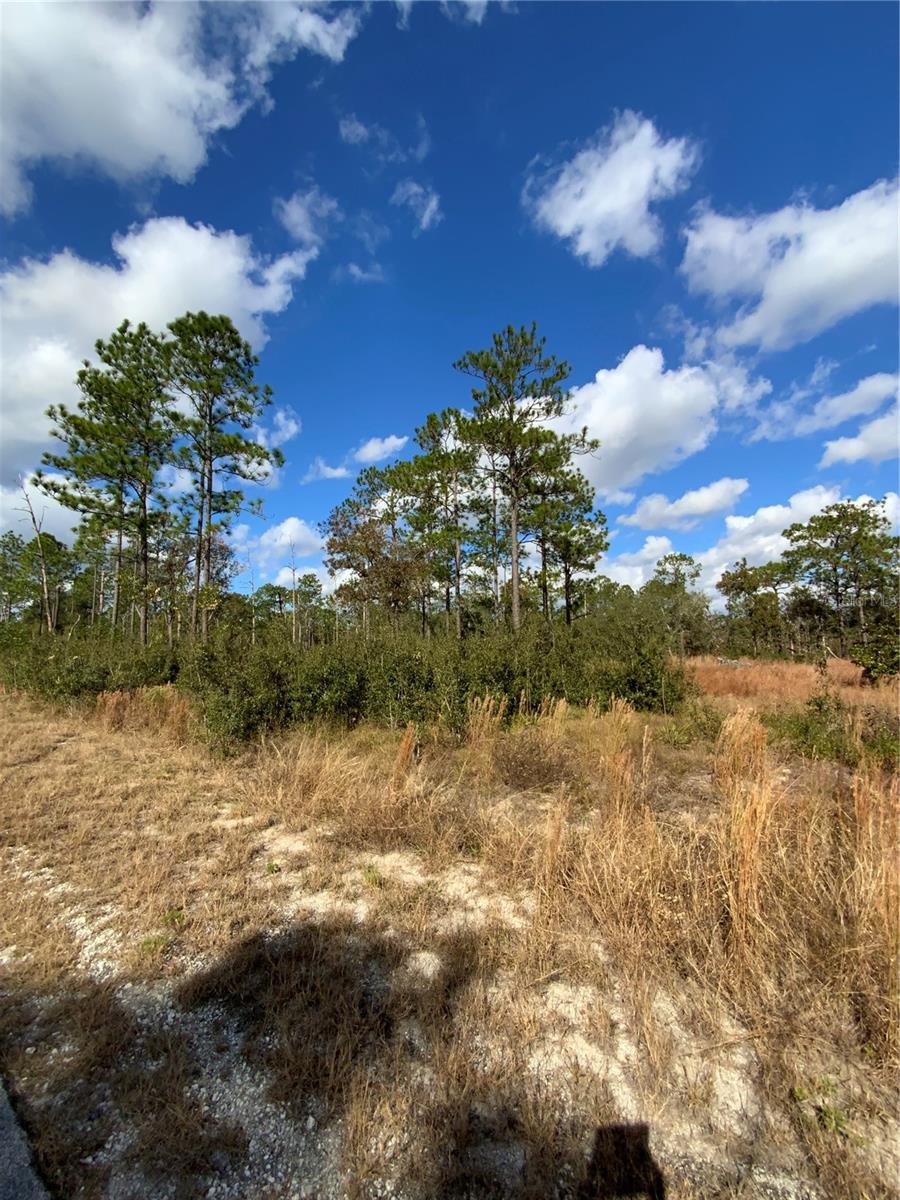 Image 18 of 18 For 23063 Edgewater Boulevard