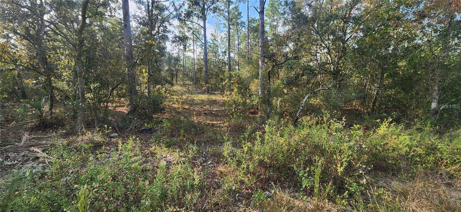 Image 3 of 4 For 00 Edgewater Blvd