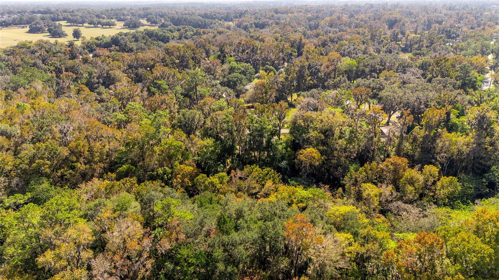 Image 55 of 60 For 541 35th Street