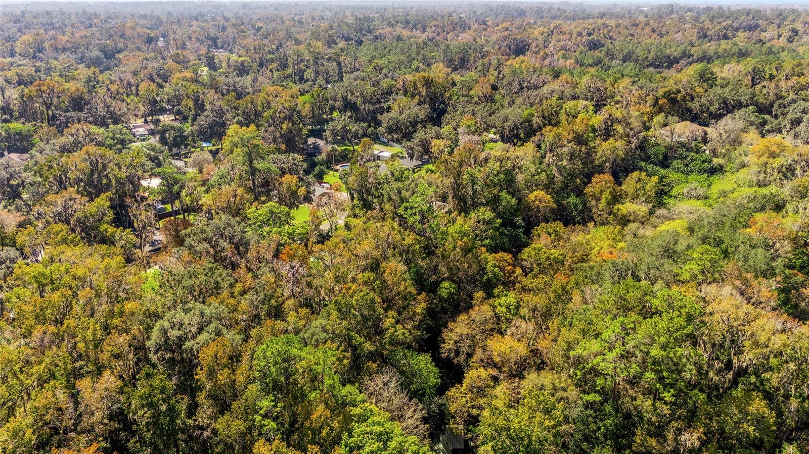 Image 56 of 60 For 541 35th Street