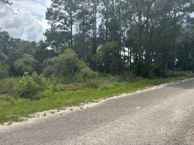 Listing Details for 0000 123rd Avenue, DUNNELLON, FL 34431