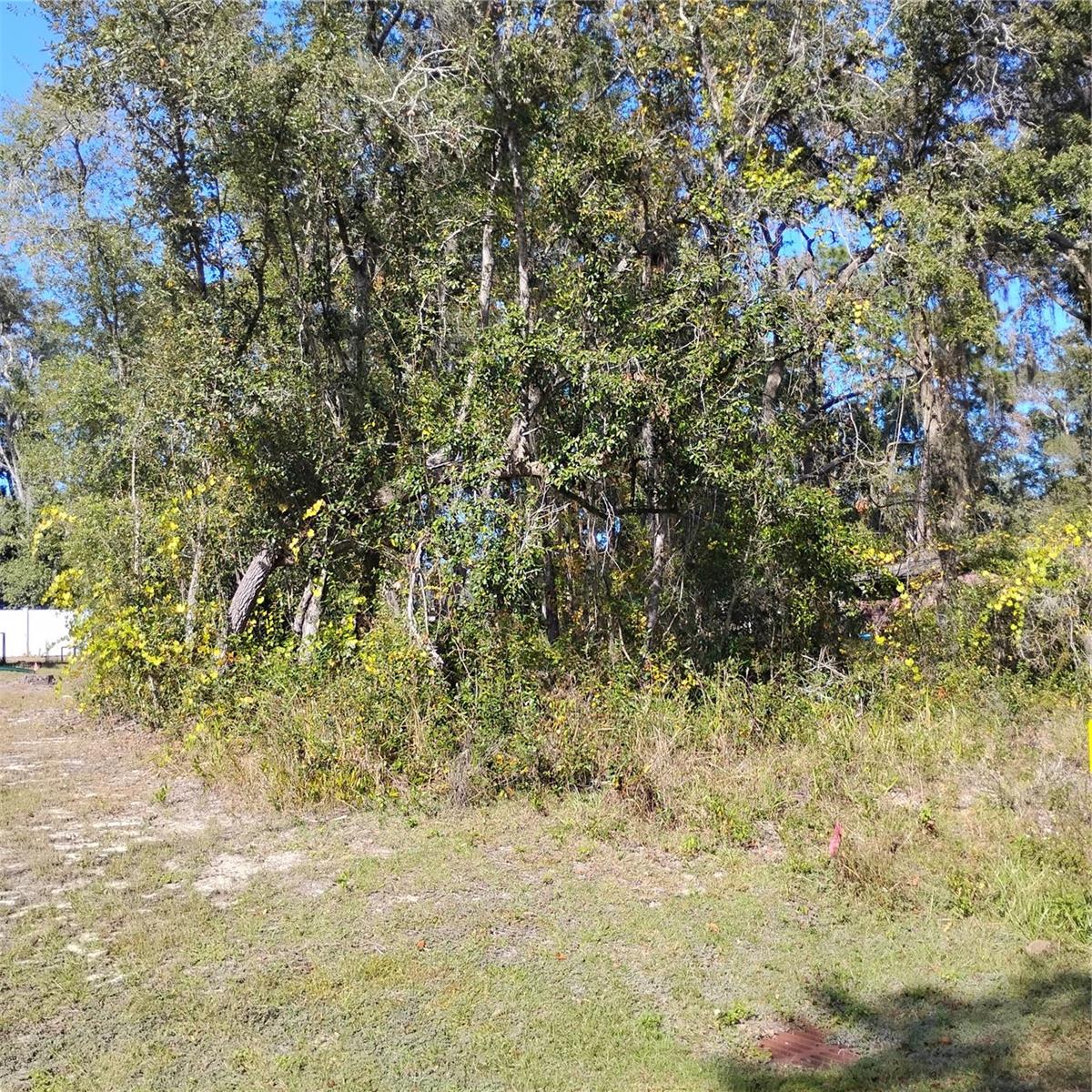 Details for Tbd 61st Place, OCKLAWAHA, FL 32179