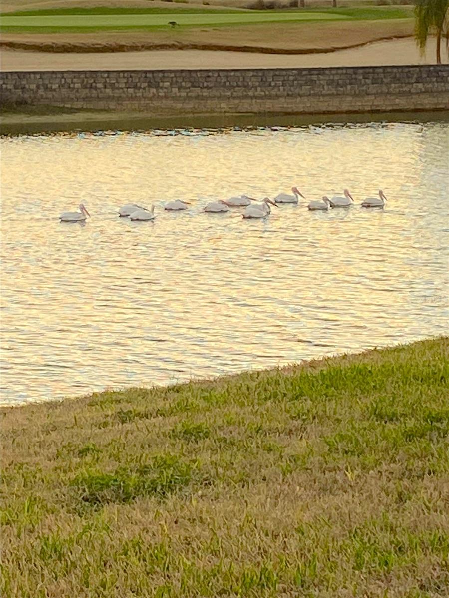 Image 58 of 84 For 9479 71st Loop