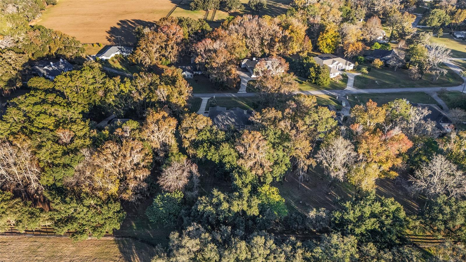 Image 82 of 94 For 700 89th Terrace