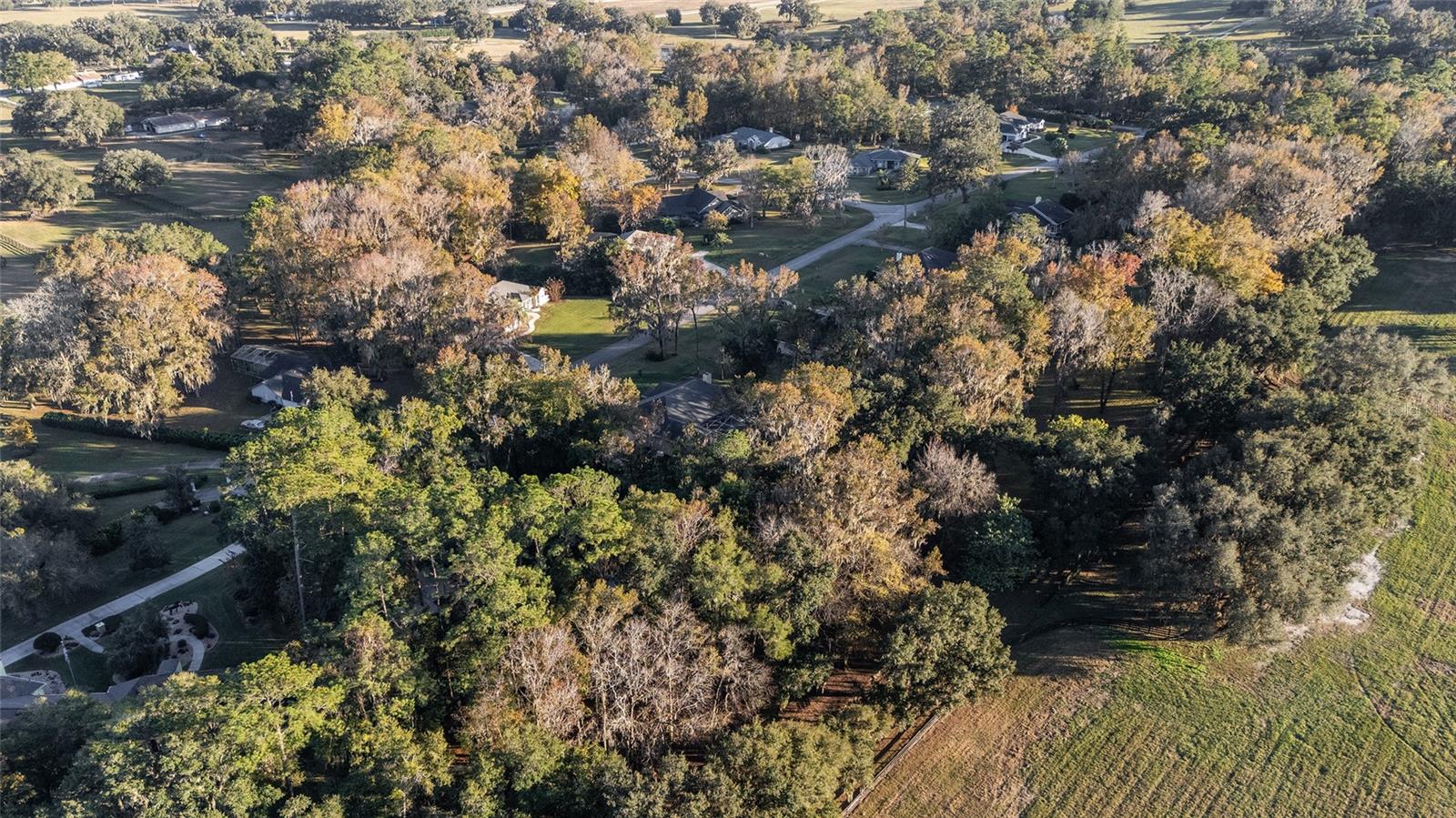 Image 83 of 94 For 700 89th Terrace