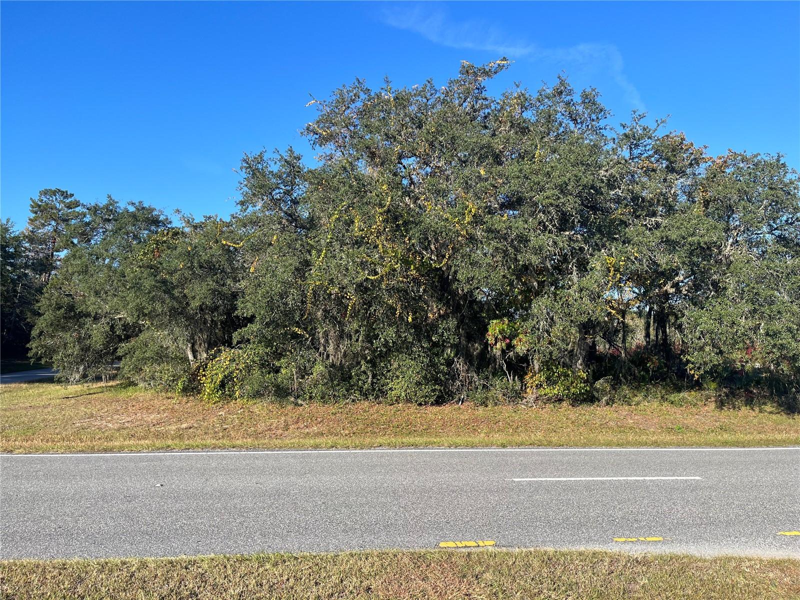 Image 6 of 7 For Marion Oaks Blvd