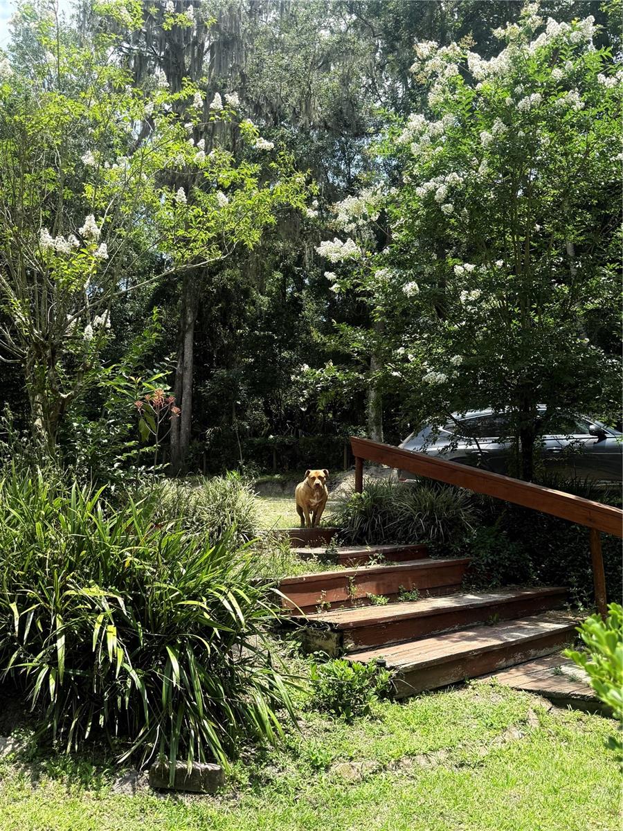 Image 92 of 95 For 22924 91st Court Road