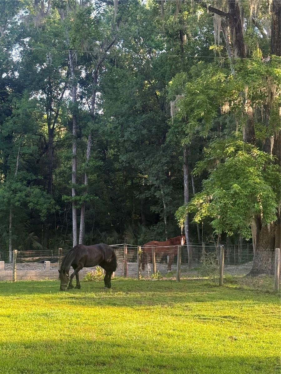 Image 93 of 95 For 22924 91st Court Road