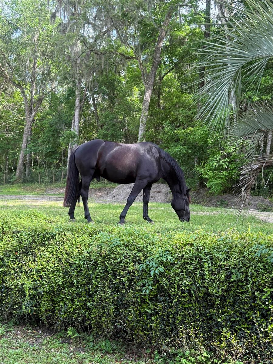 Image 94 of 95 For 22924 91st Court Road