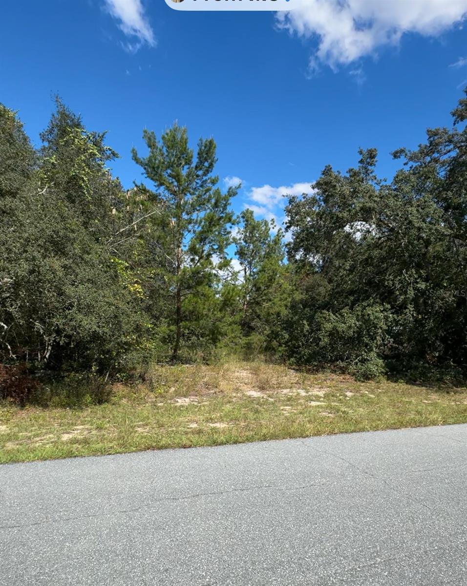Details for Tbd Sw 166th Street, OCALA, FL 34473