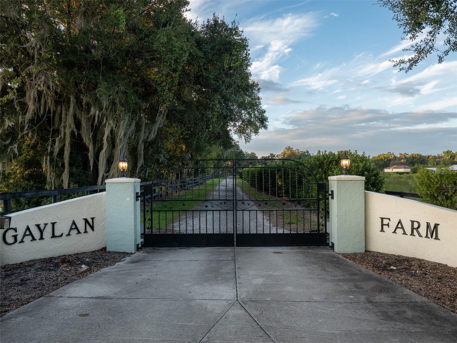 Image 3 of 34 For 9481 Highway 316