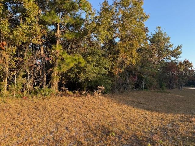 Image 4 of 7 For Tbd 138th Lane