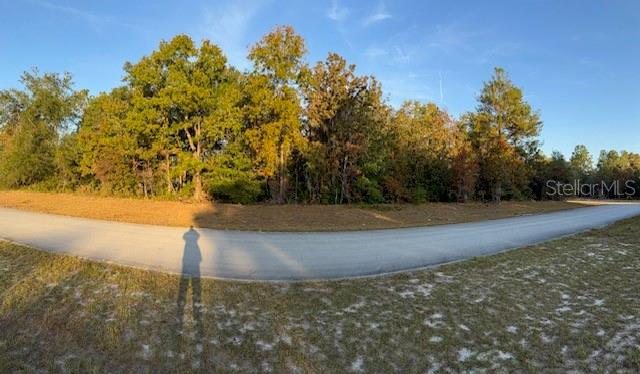 Image 7 of 7 For Tbd 138th Lane