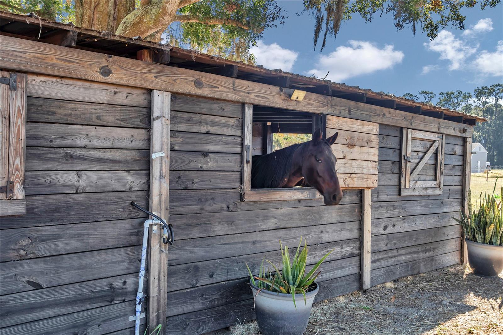 Image 40 of 54 For 16391 Magnolia Avenue