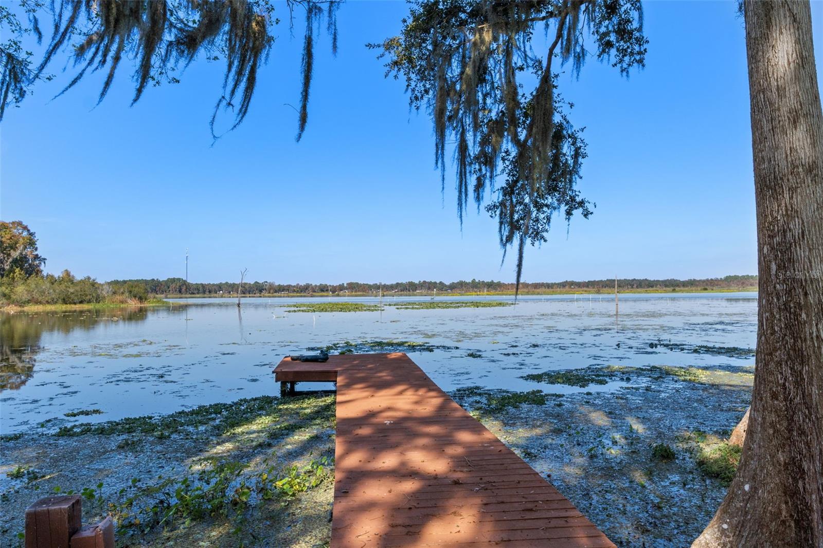 Image 45 of 50 For 6185 Riverbend Road