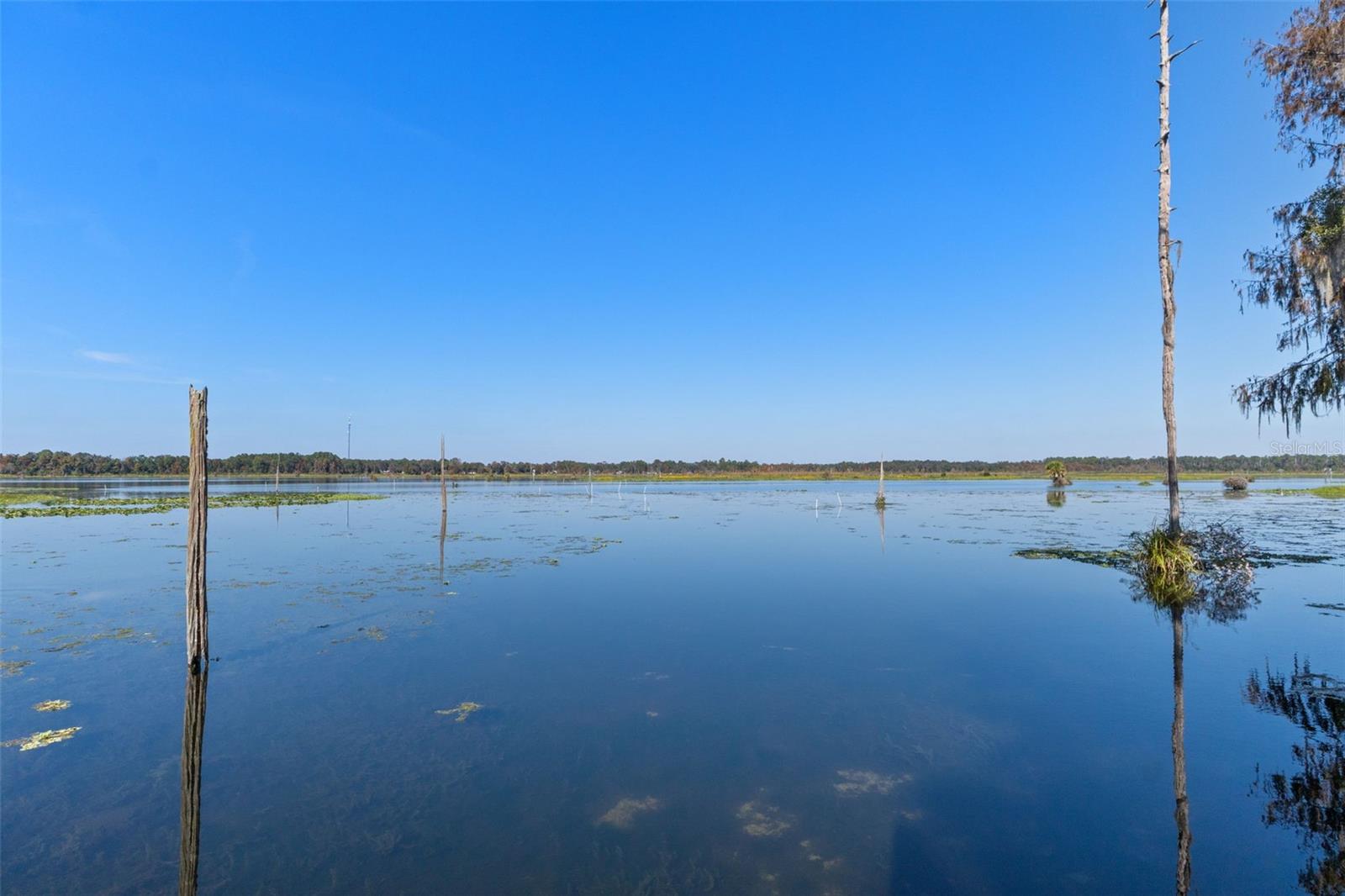 Image 46 of 50 For 6185 Riverbend Road