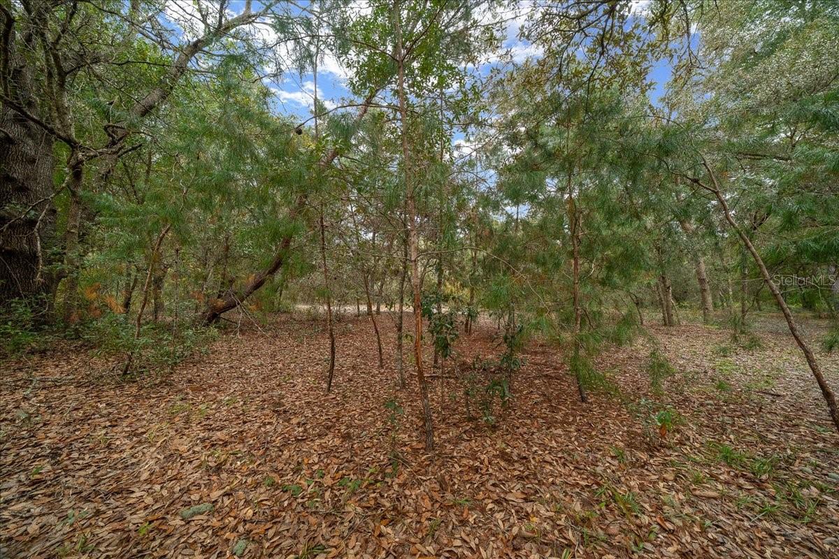 Image 13 of 22 For 6100 County Road 214