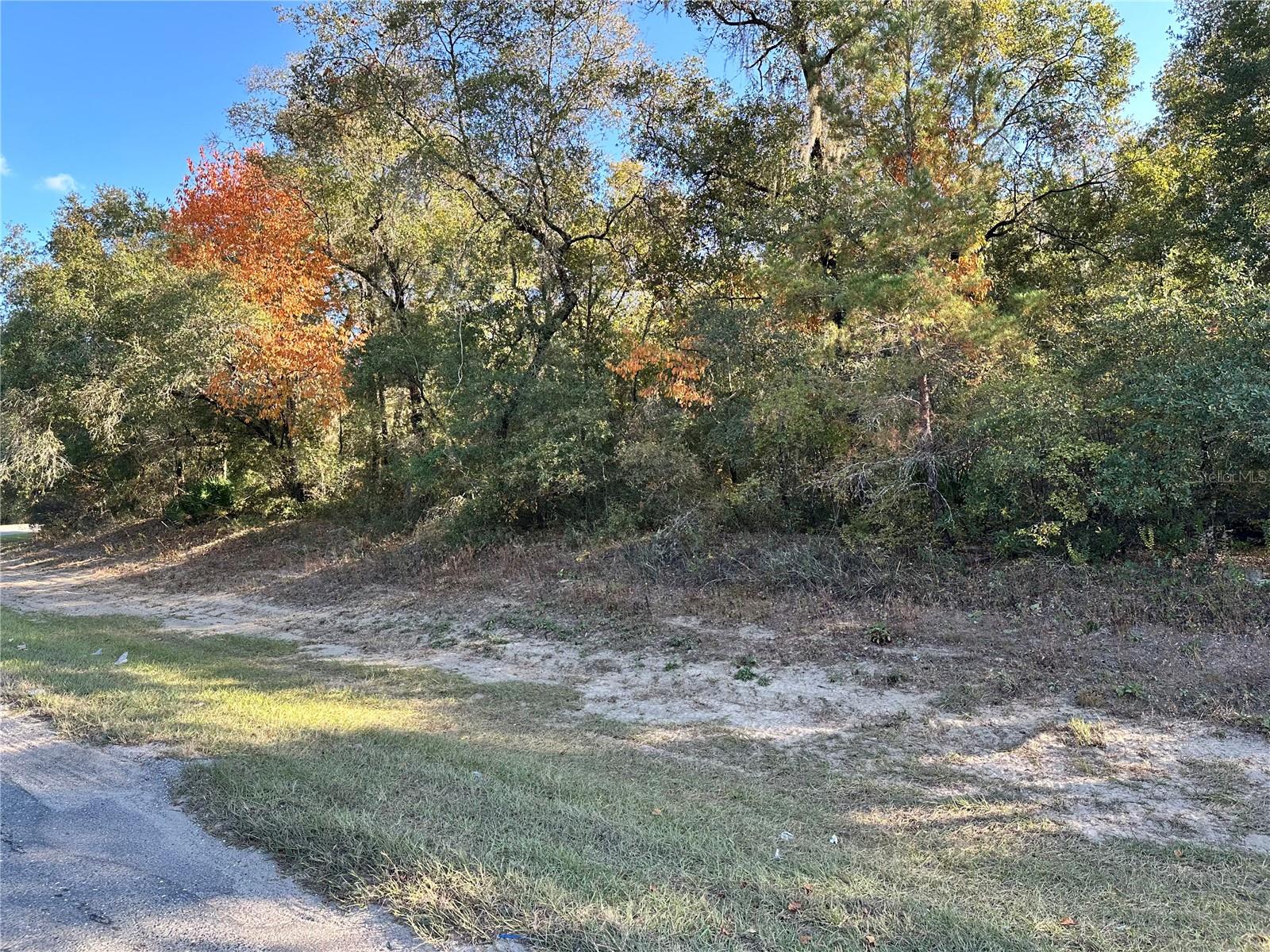 Image 15 of 22 For 6100 County Road 214