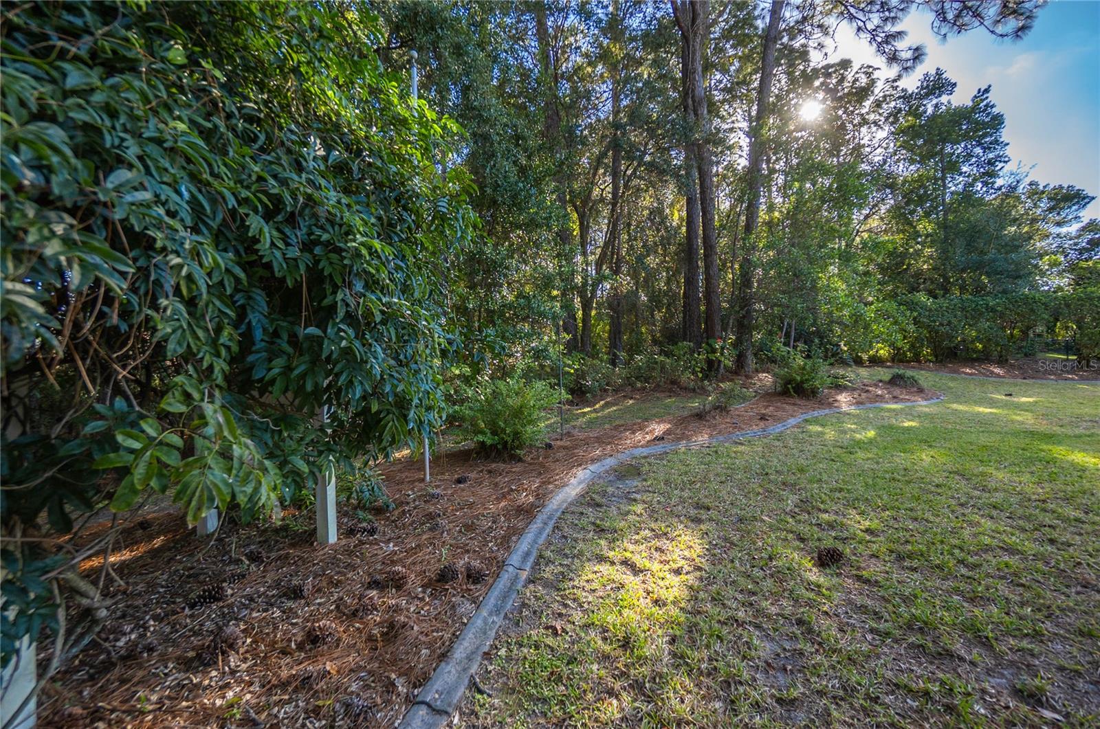 Listing photo id 35 for 833 Lafayette Way