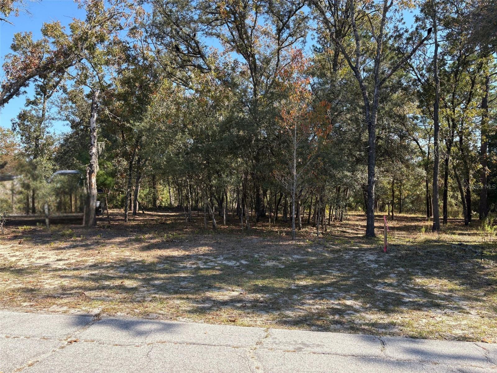 Details for 10079 Ruth Terrace, CITRUS SPRINGS, FL 34434